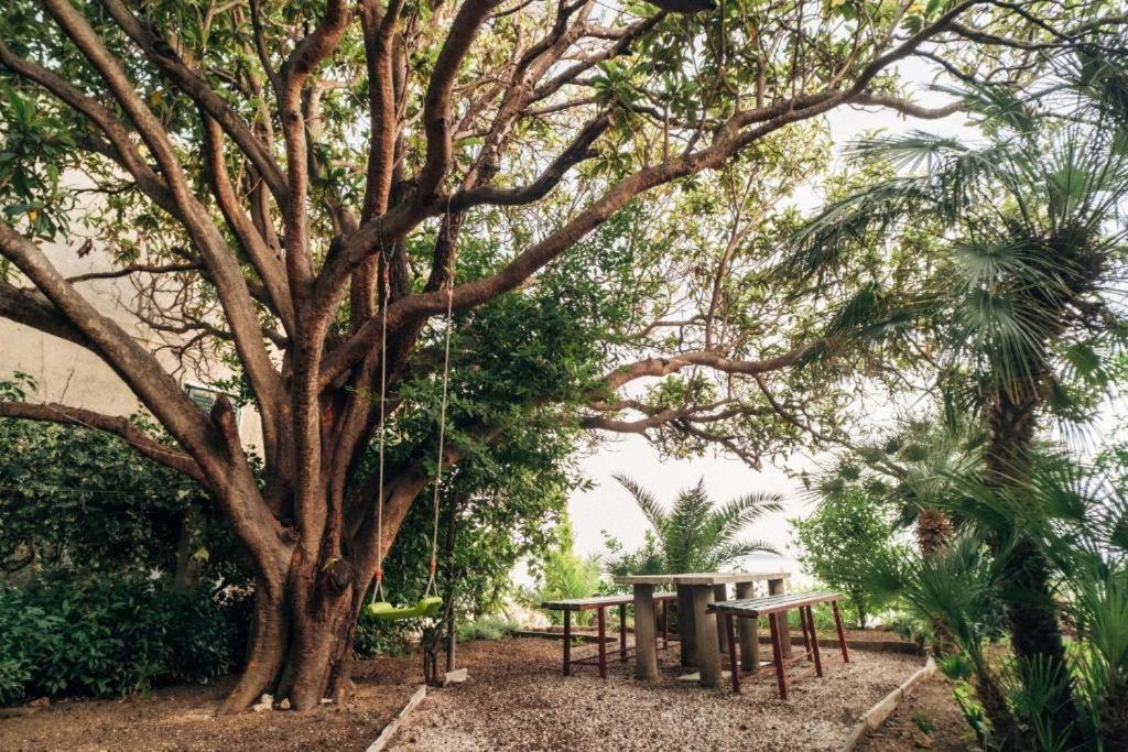Villa Soti Mlini Ngoại thất bức ảnh
