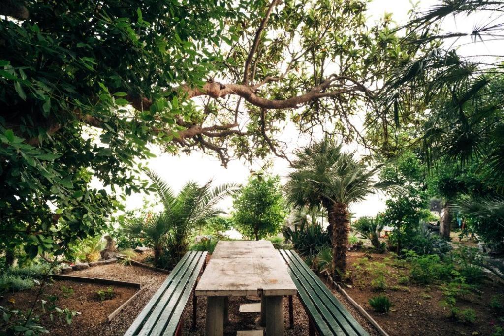 Villa Soti Mlini Ngoại thất bức ảnh